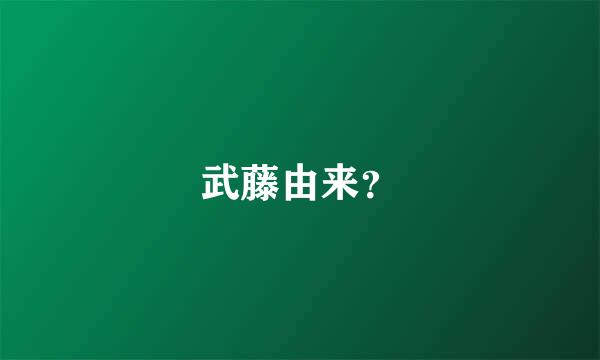 武藤由来？