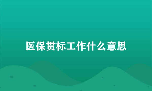 医保贯标工作什么意思
