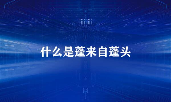 什么是蓬来自蓬头