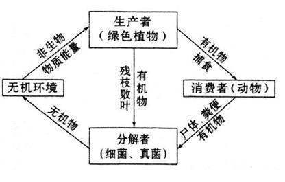 生物与环境的相互关系包括哪几个方来自面