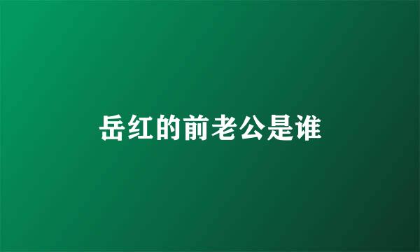 岳红的前老公是谁
