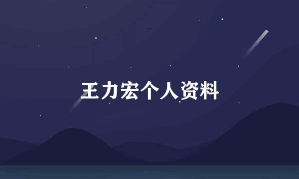 王力宏个人资料
