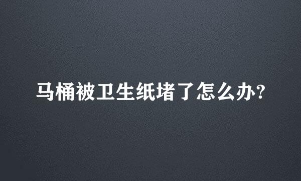 马桶被卫生纸堵了怎么办?