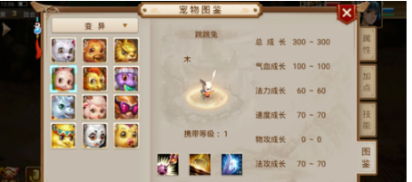 手游问道白果儿抗点怎么加