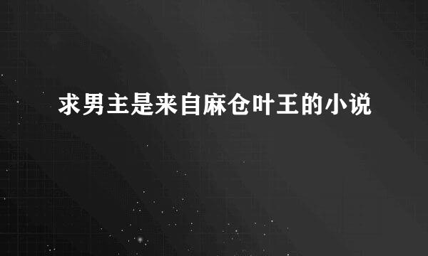求男主是来自麻仓叶王的小说