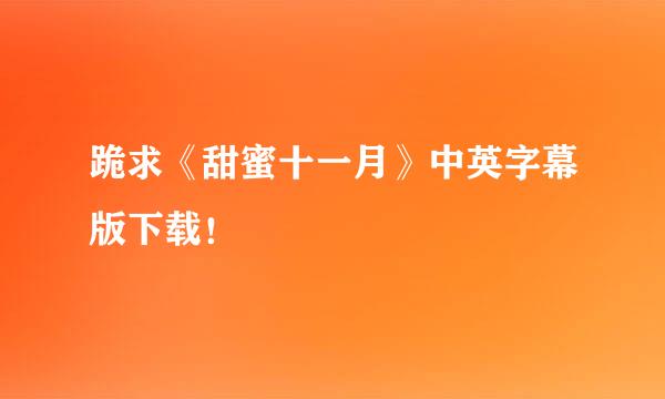 跪求《甜蜜十一月》中英字幕版下载！