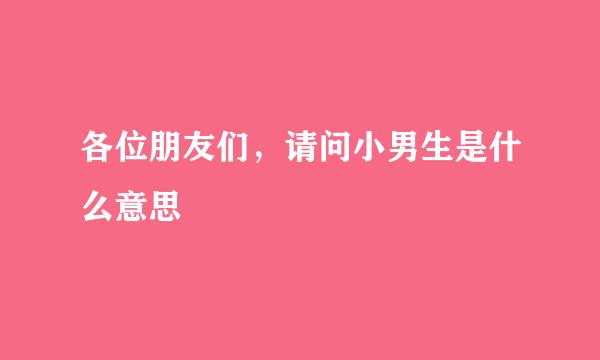 各位朋友们，请问小男生是什么意思