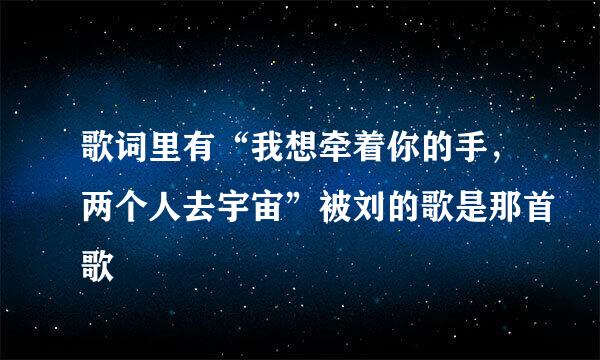 歌词里有“我想牵着你的手，两个人去宇宙”被刘的歌是那首歌