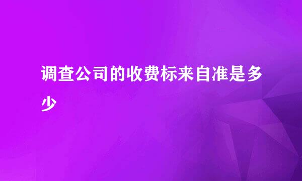 调查公司的收费标来自准是多少