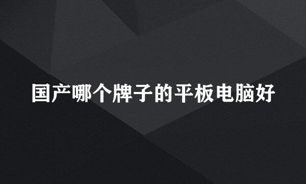 国产哪个牌子的平板电脑好