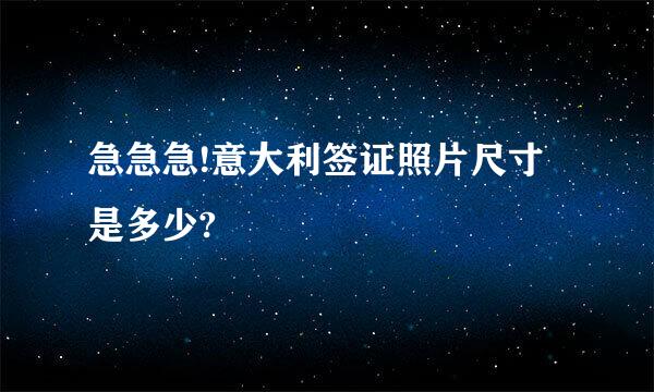 急急急!意大利签证照片尺寸是多少?