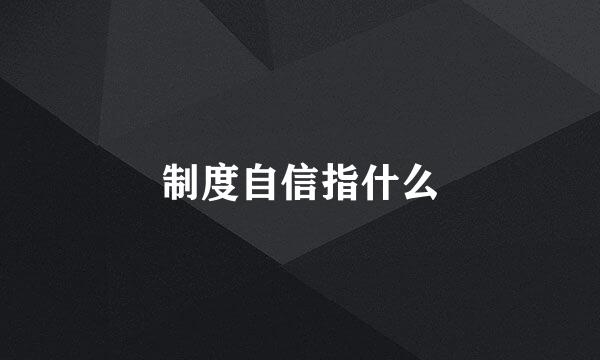 制度自信指什么
