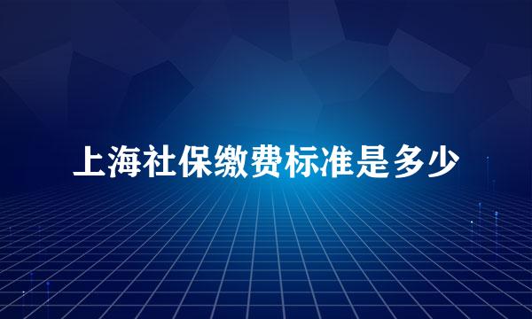 上海社保缴费标准是多少