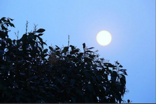 选择一个天体写一首小诗