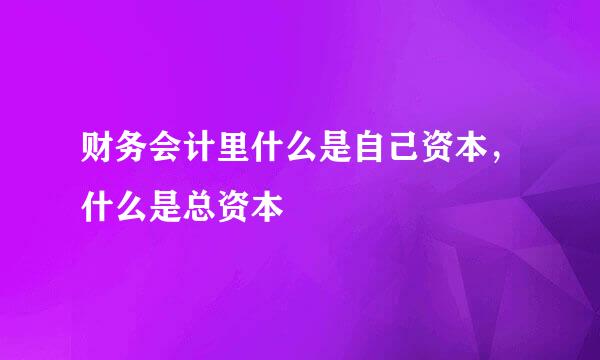 财务会计里什么是自己资本，什么是总资本
