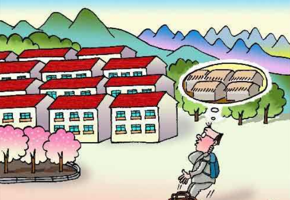 建设新农村国家有什么政策