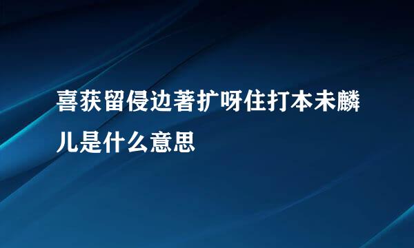 喜获留侵边著扩呀住打本未麟儿是什么意思