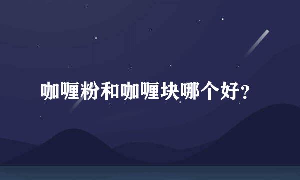 咖喱粉和咖喱块哪个好？
