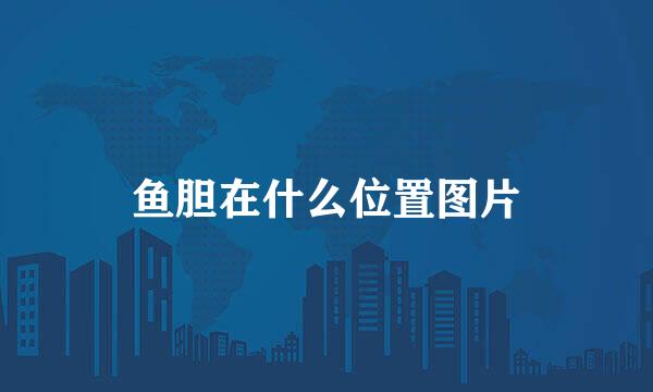 鱼胆在什么位置图片