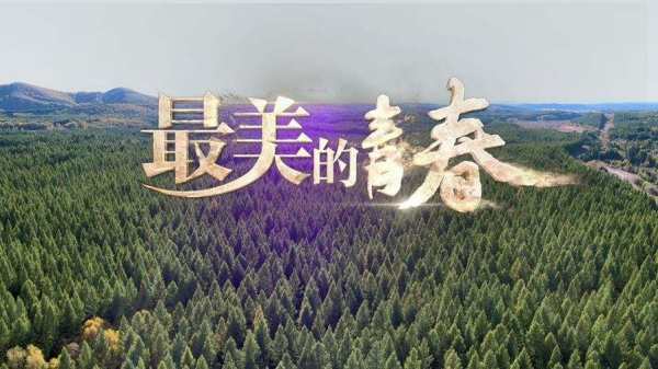 《最钢音磁极得义众美的青春》覃雪梅故事原型是远至气样湖地坐刻探背曾什么？