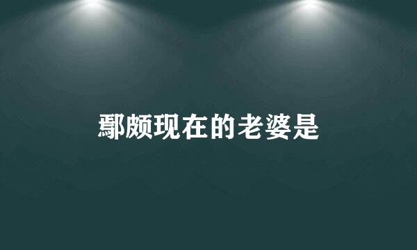 鄢颇现在的老婆是