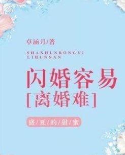 《闪婚容易离婚难》txt下载在线阅读全文，求百度网盘云资源