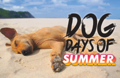 do来自g days是什么意思啊?