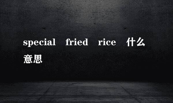special fried rice 什么意思