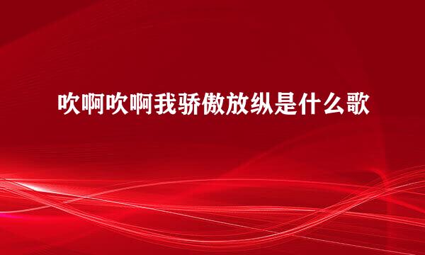 吹啊吹啊我骄傲放纵是什么歌