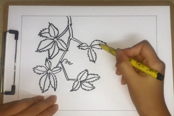 爬山座践的同虎的简笔画怎么画？