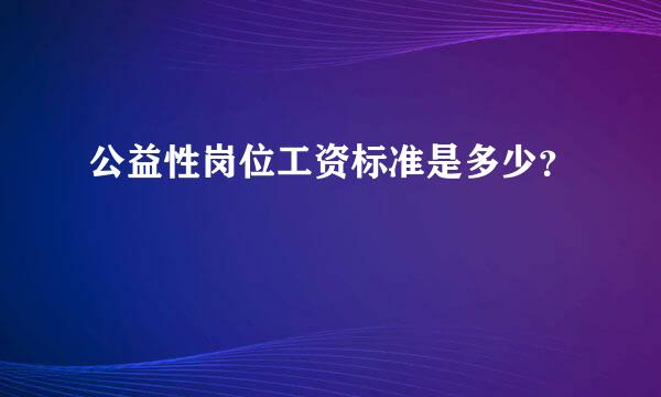 公益性岗位工资标准是多少？