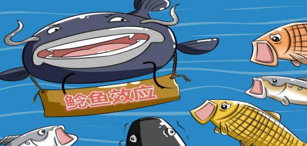 鲶鱼效应的三点启示是什么?