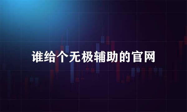 谁给个无极辅助的官网