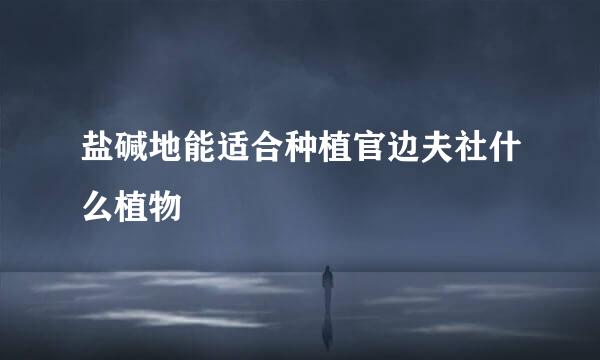 盐碱地能适合种植官边夫社什么植物