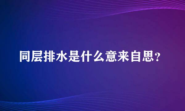 同层排水是什么意来自思？