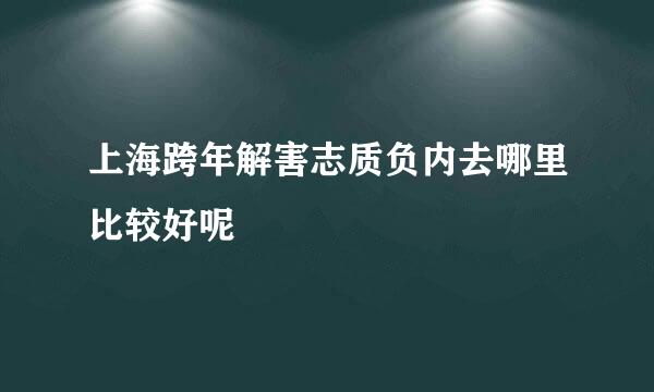 上海跨年解害志质负内去哪里比较好呢