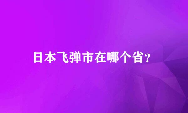 日本飞弹市在哪个省？