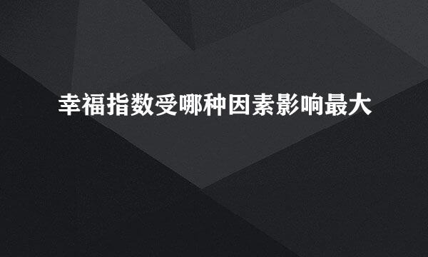 幸福指数受哪种因素影响最大
