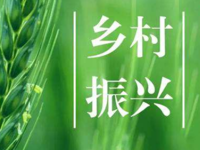 乡村振兴是什么意思？