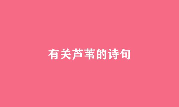 有关芦苇的诗句
