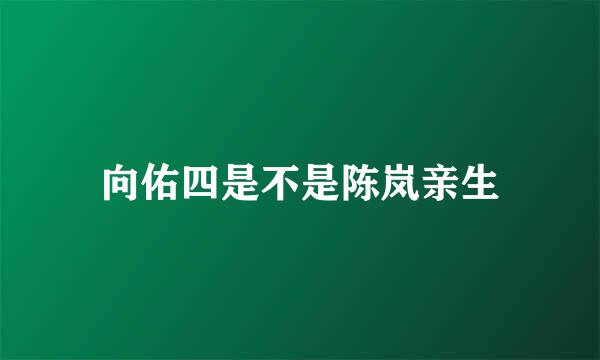 向佑四是不是陈岚亲生