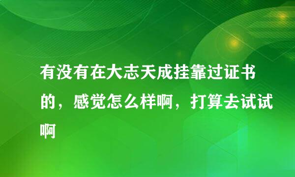 有没有在大志天成挂靠过证书的，感觉怎么样啊，打算去试试啊