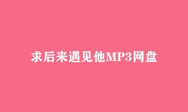 求后来遇见他MP3网盘