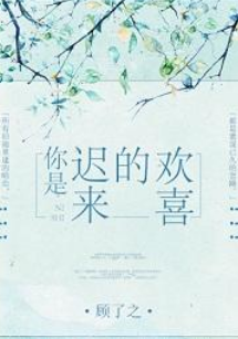 《你是迟来的欢喜》txt下载在线阅读全文，求百度网盘云资源