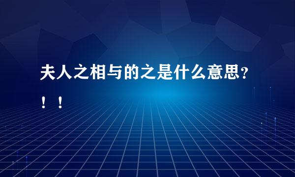 夫人之相与的之是什么意思？！！