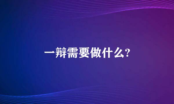 一辩需要做什么?