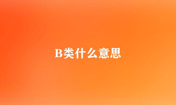 B类什么意思