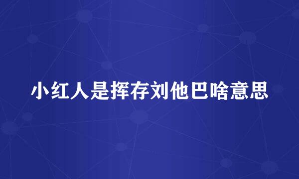 小红人是挥存刘他巴啥意思