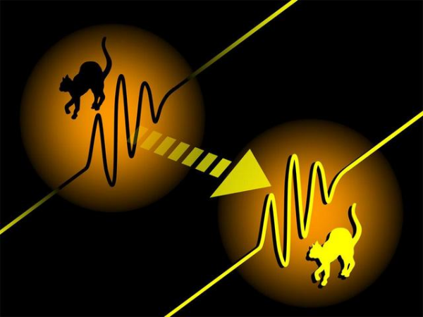 量子芝诺效应（quantum zeno effect）