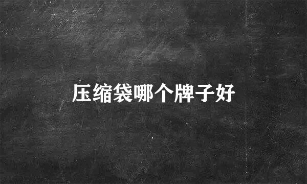 压缩袋哪个牌子好